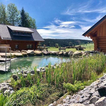 Naturstammhaus Und Appartements Zum Brockenbaecker Tanne Kültér fotó