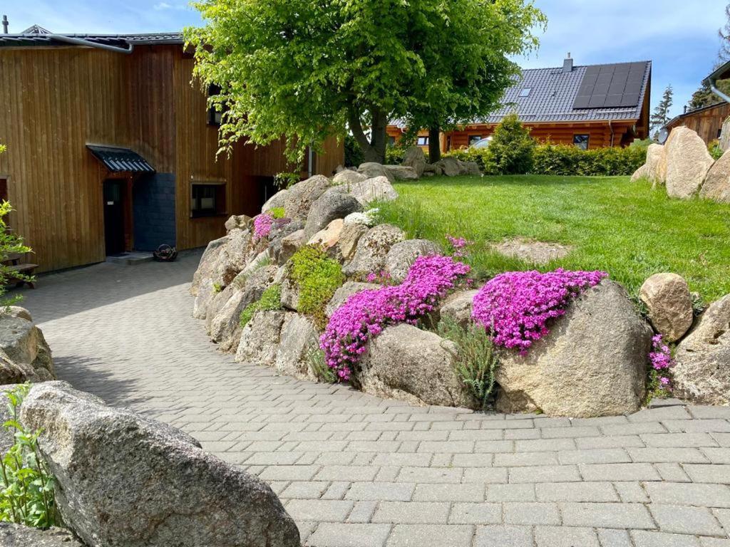 Naturstammhaus Und Appartements Zum Brockenbaecker Tanne Kültér fotó