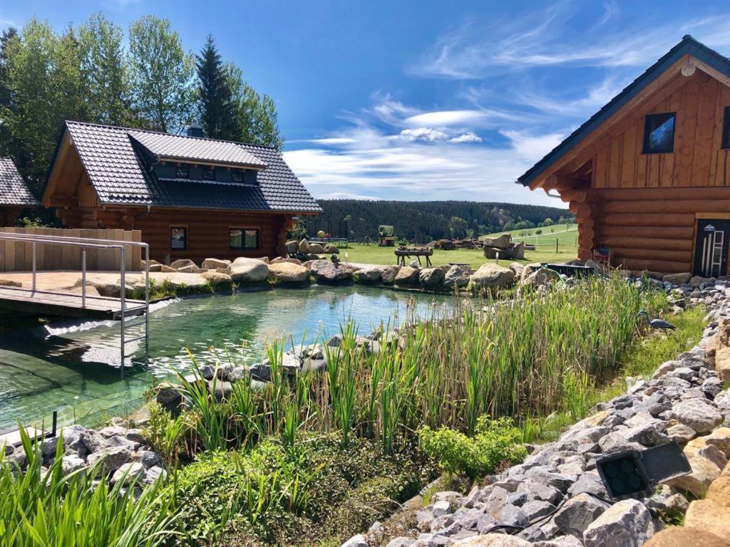 Naturstammhaus Und Appartements Zum Brockenbaecker Tanne Kültér fotó