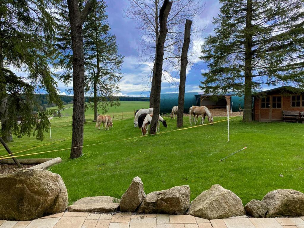Naturstammhaus Und Appartements Zum Brockenbaecker Tanne Kültér fotó